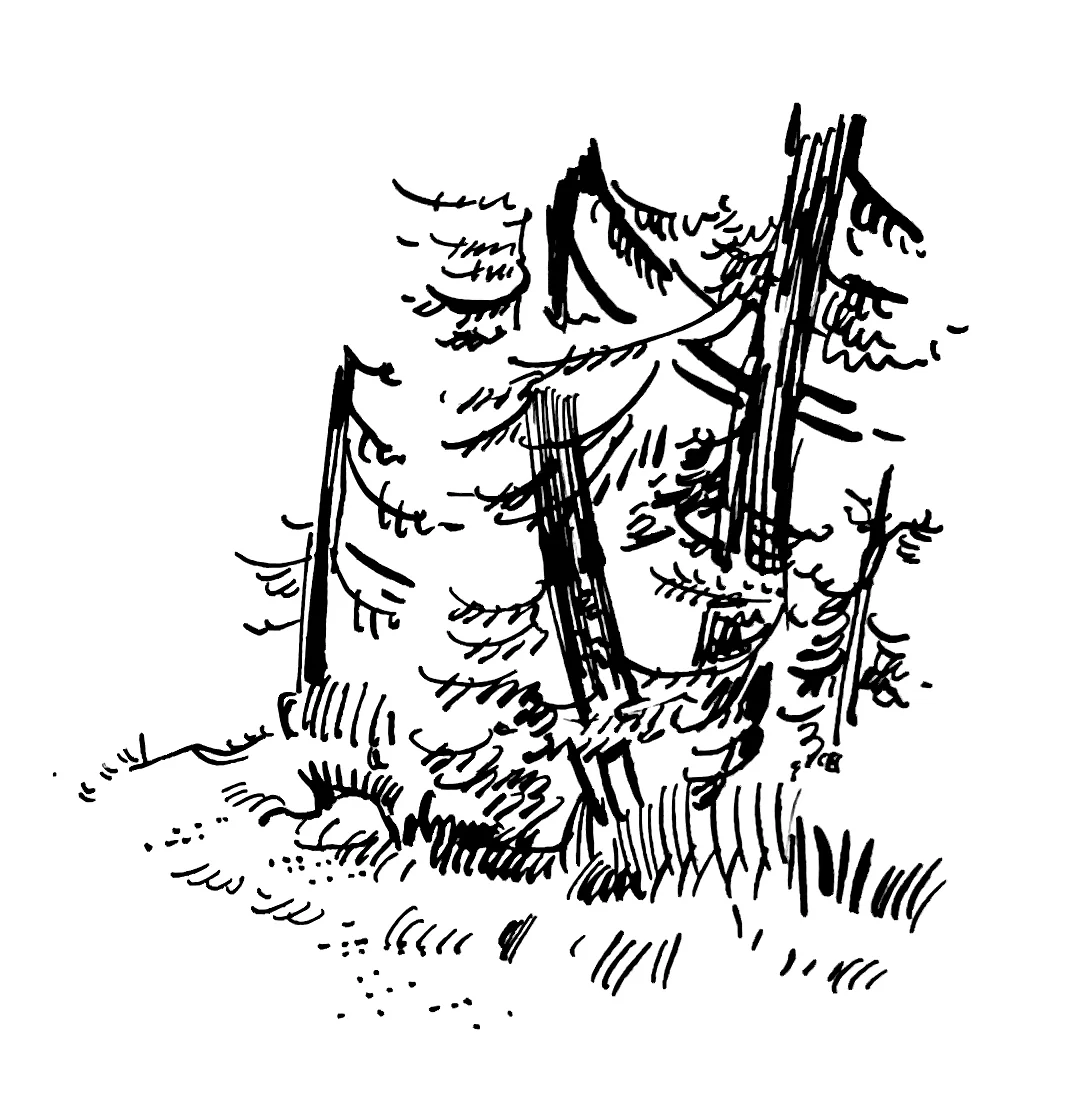 Fafleralp Illustration