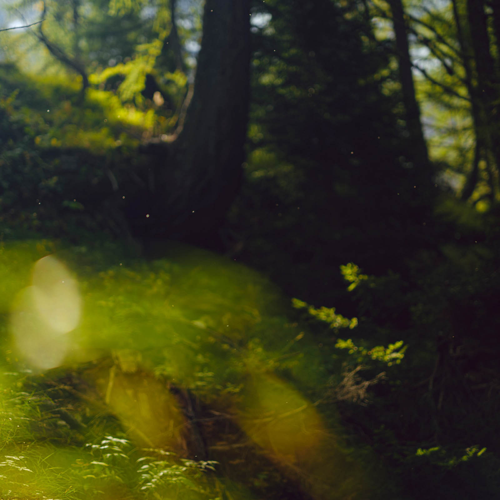 Rhythmus_Klang_Körper