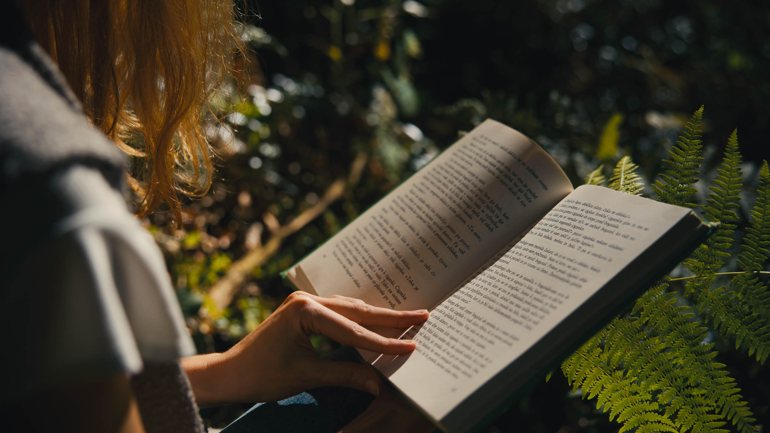 Literatur September